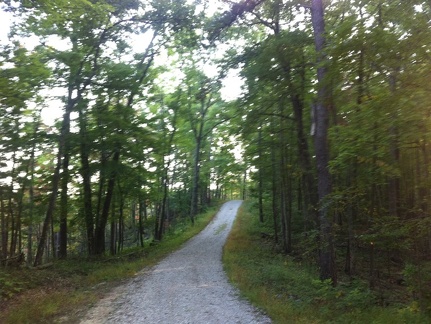 Auxier Ridge, a year after the fire